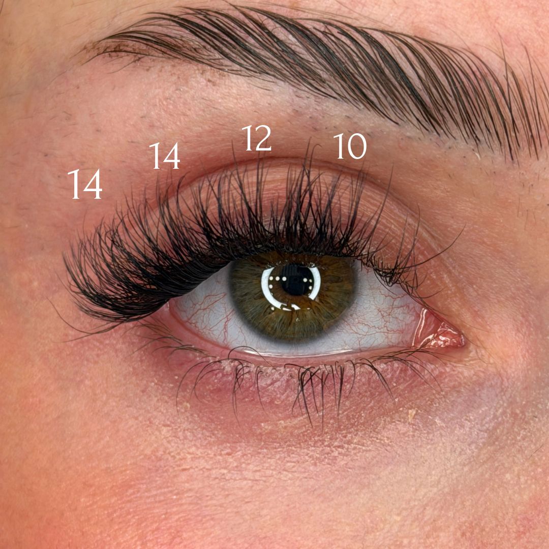 CILS PRÉ-COLLÉS DRAMATIC FLUTTER