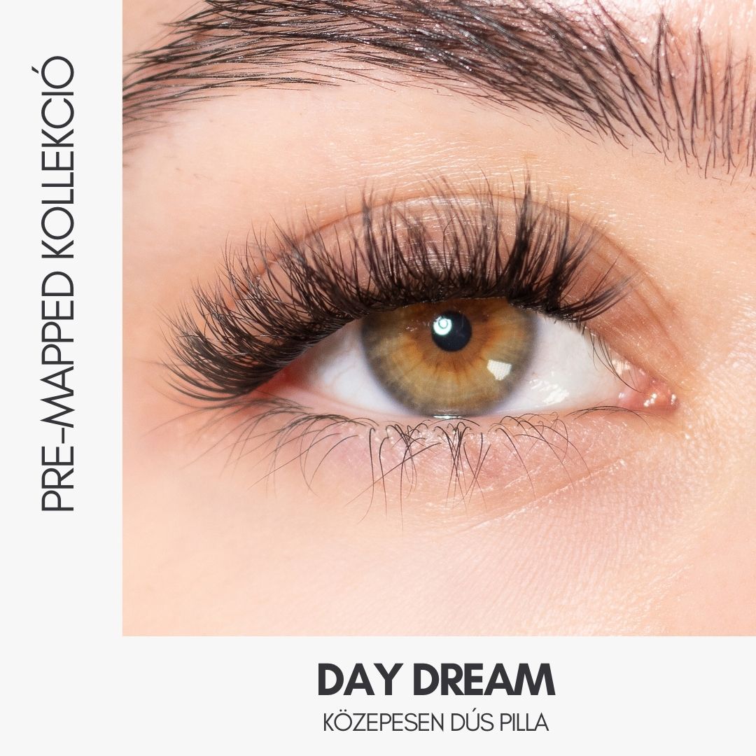 DAY DREAM